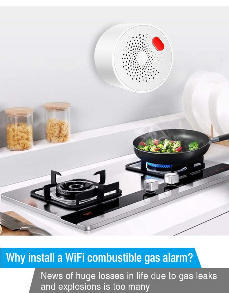 Gas sensor
