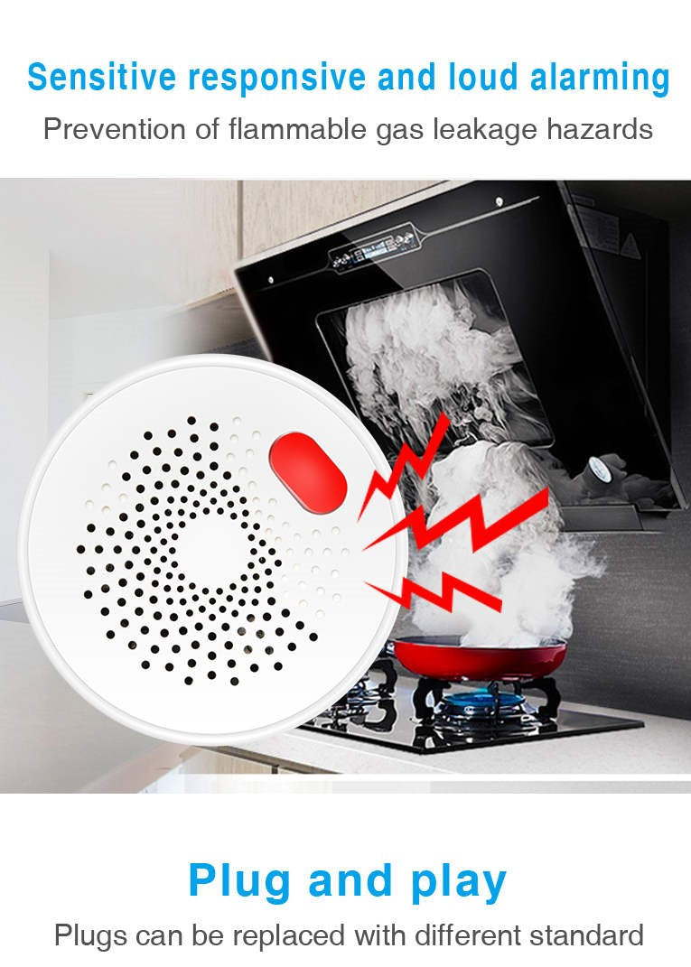 Gas sensor