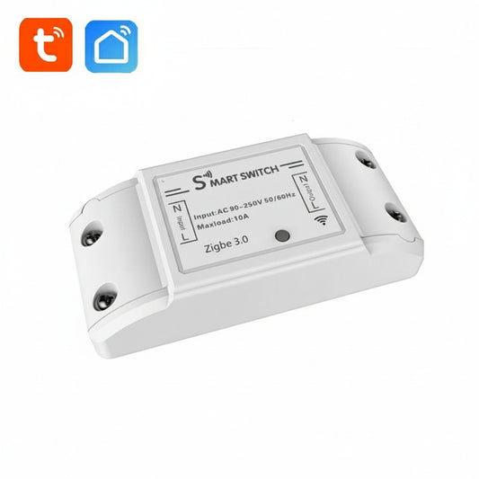 10A WiFi switch