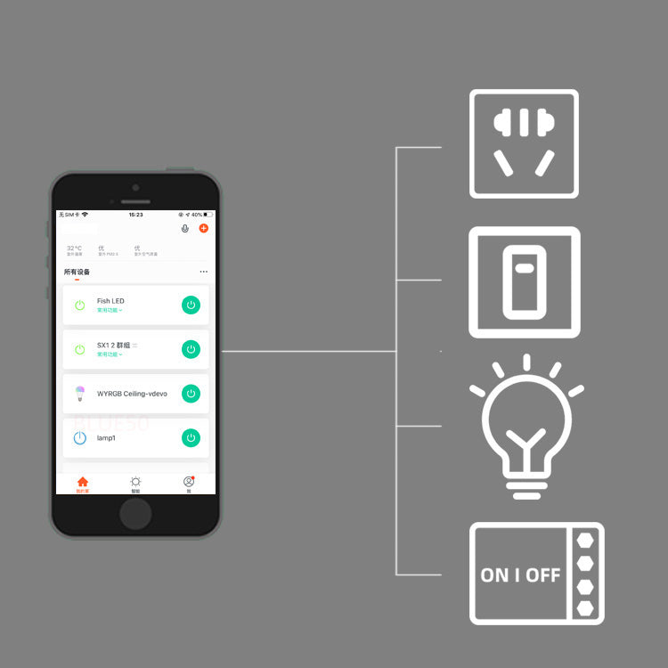 20A WiFi switch