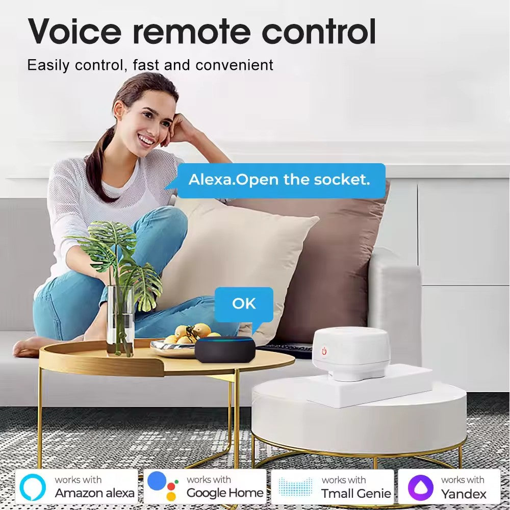 Smart plug in Socket