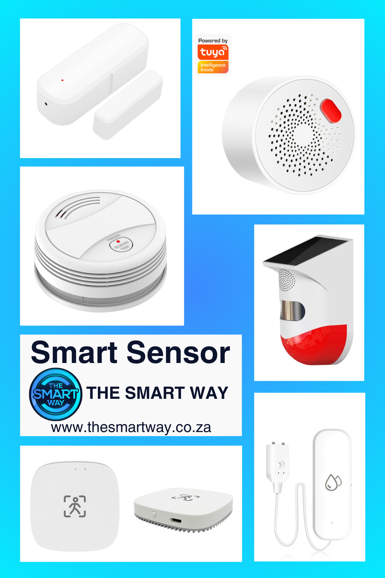 Smart Sensors – The Smart Way (Pty) Ltd