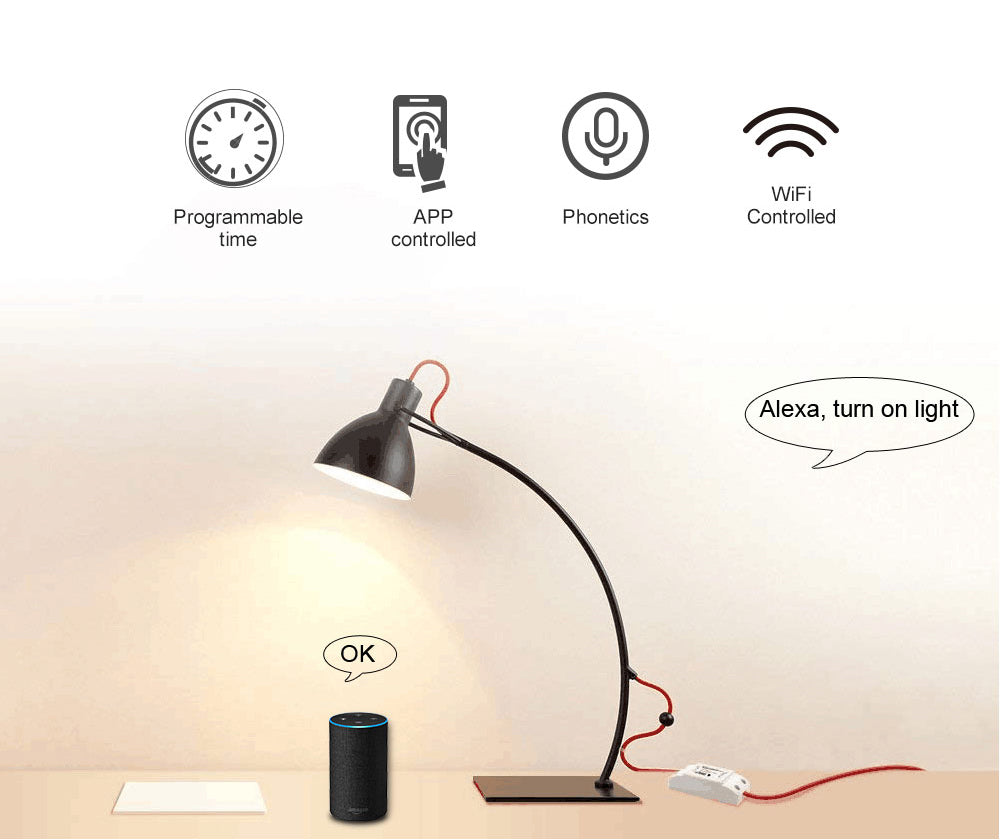 10A WiFi switch