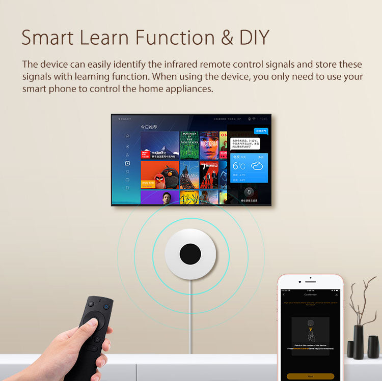 InfraRed remote control (W&B)