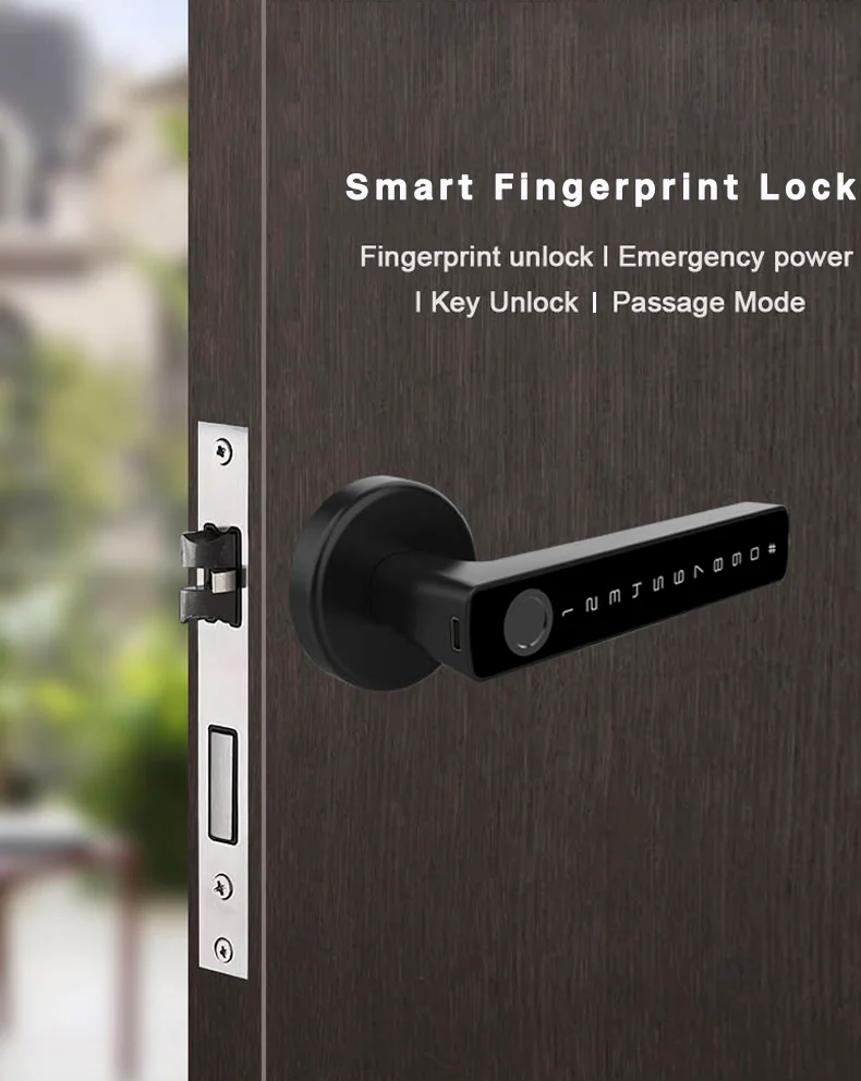 Smart Bluetooth lock