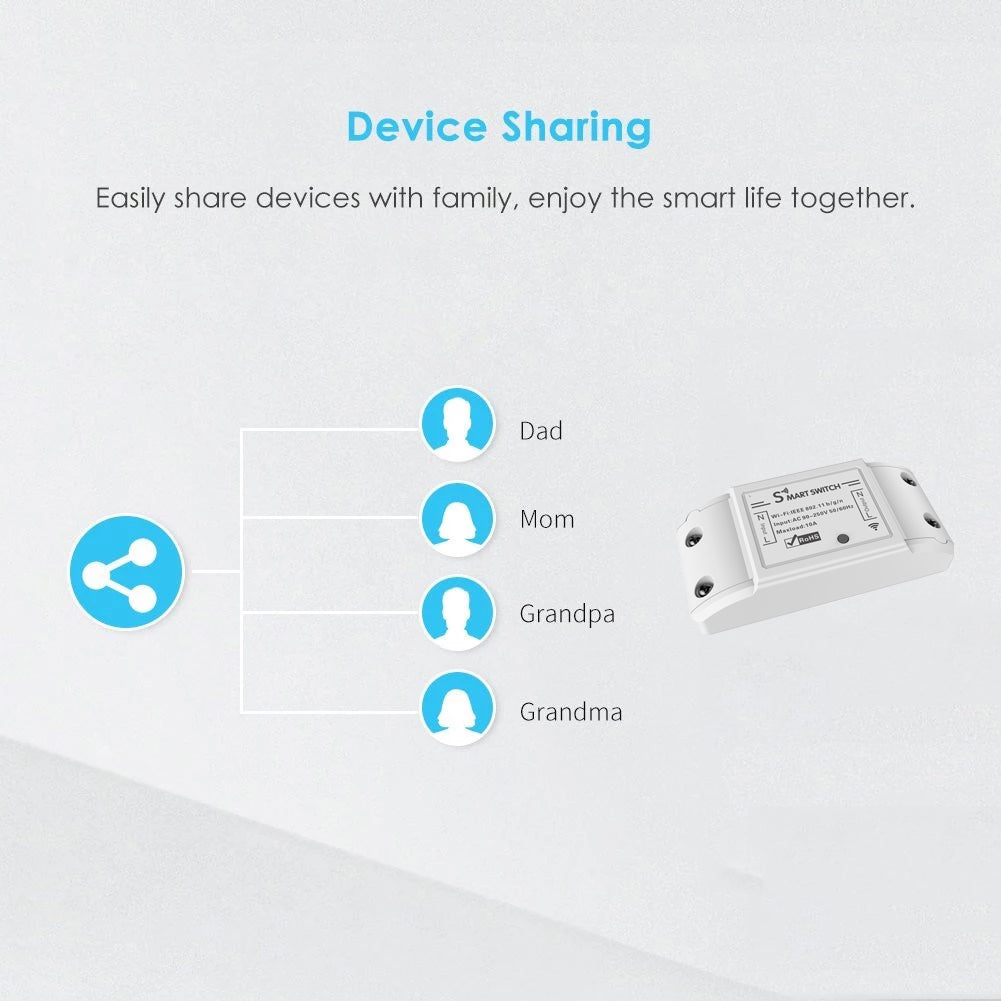 10A WiFi switch
