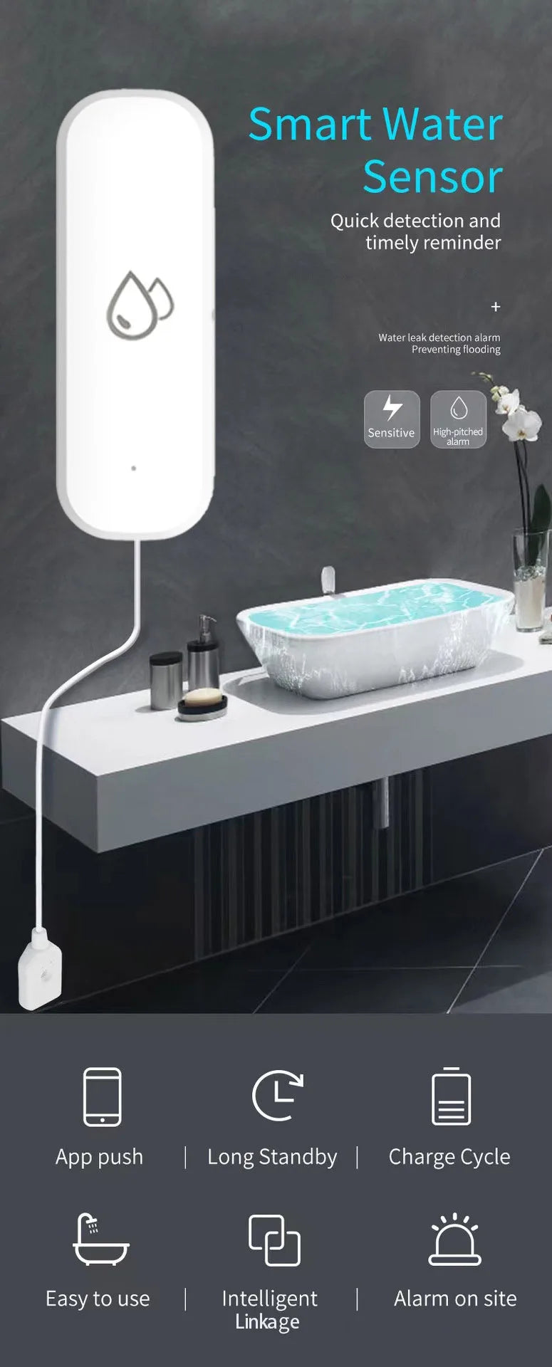 Water Leak detector